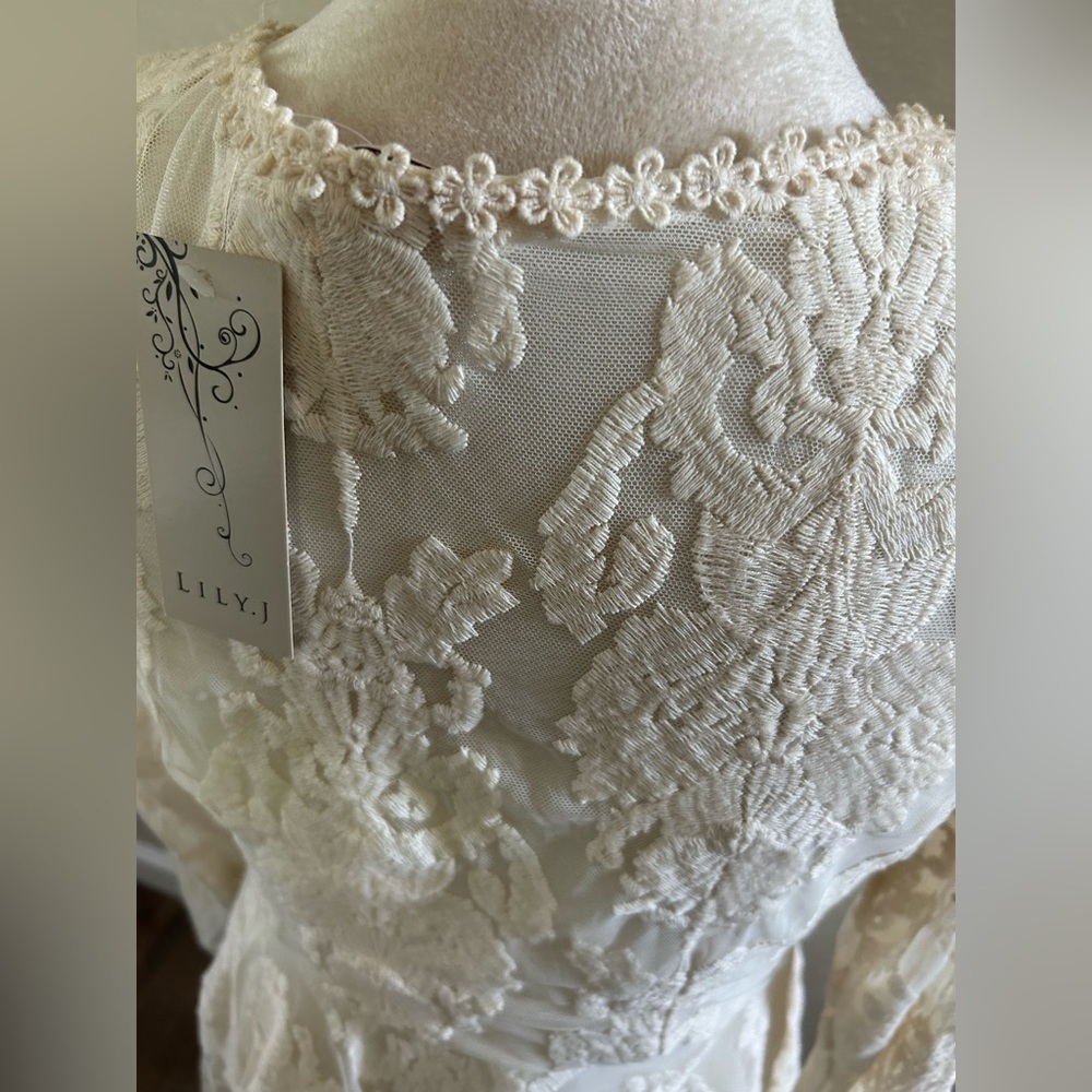 Lily’s Elegant cream colored Lace Long Sleeve Dress size M NWT - Picture 5 of 7